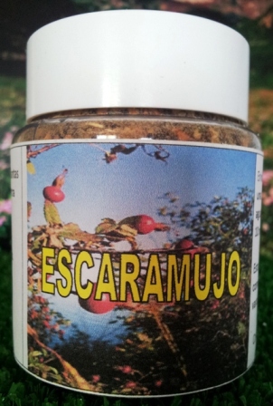escaramujo_p-ESCARAMUJO.jpg