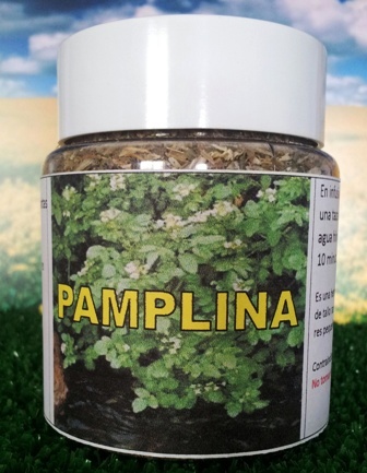 pamplina_p-PAMPLINA.jpg